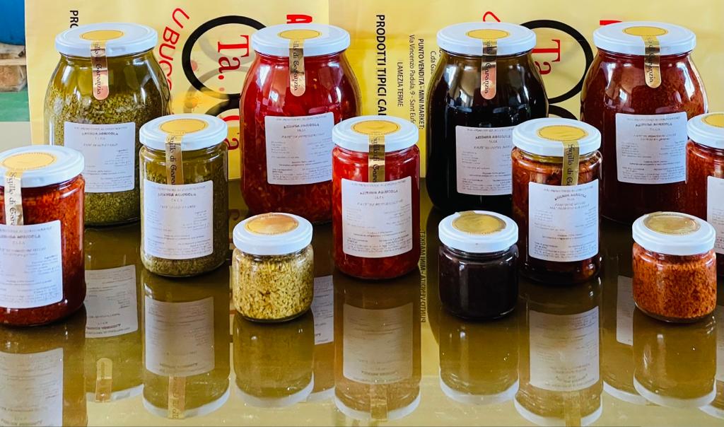 olive verdi DOP