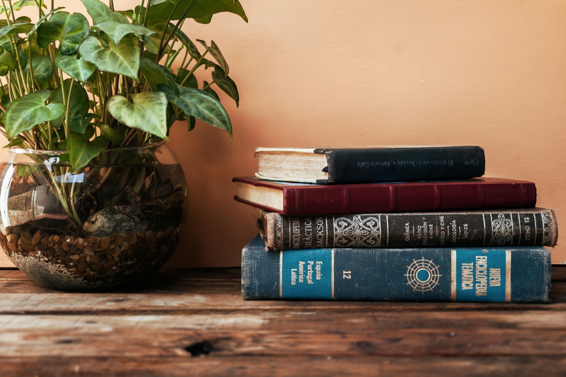 Leaving a Legacy Donation Explore Lifelong Learning 2026 adult education