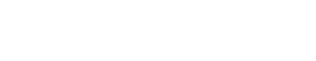 whitelogocarsolution