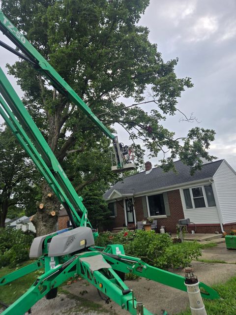 Green lift trimming a large tree near a house with a cloudy sky.