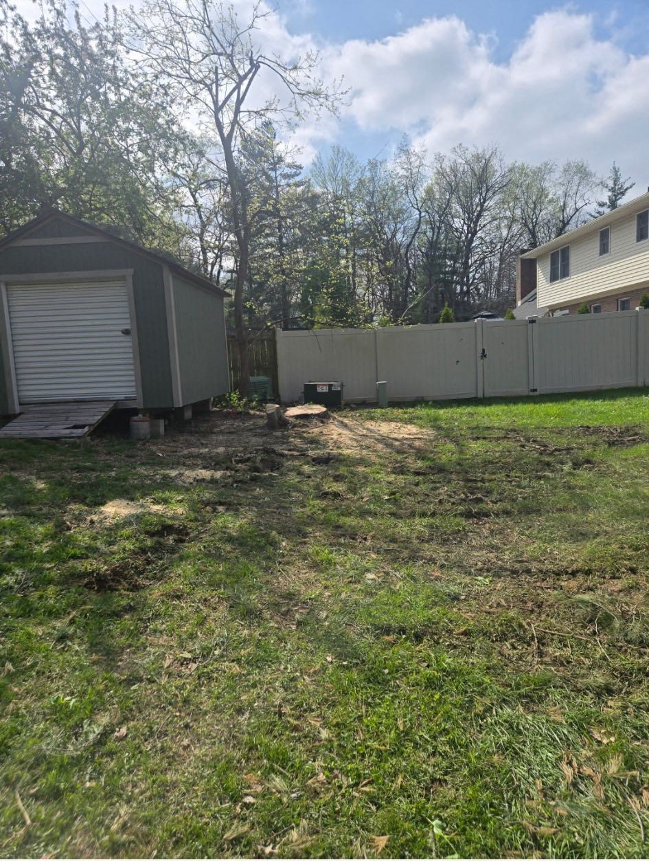 Backyard with a shed, fence, and bare patch of dirt. Trees and house are in the background.