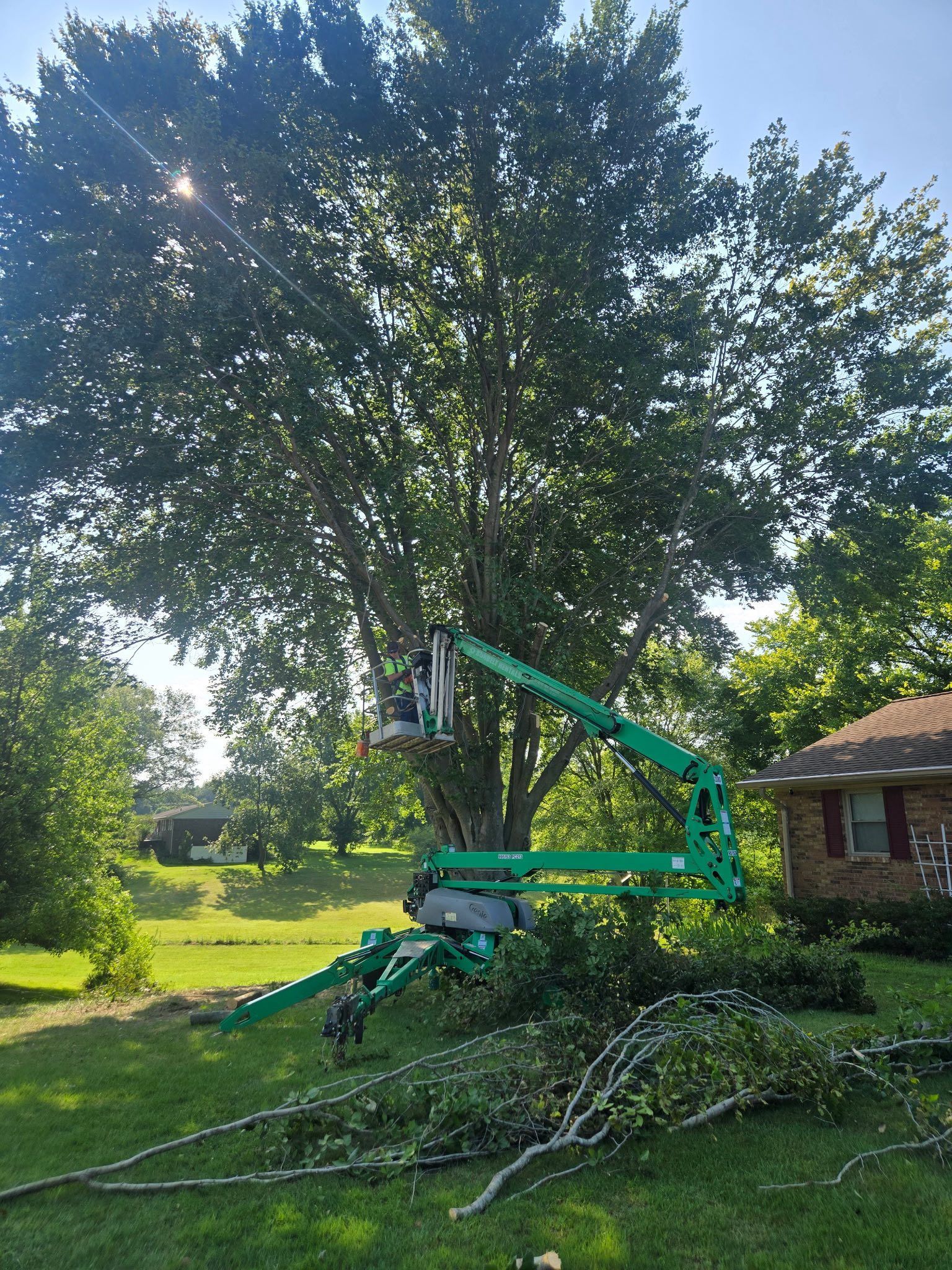 A tree service worker in a green lift trims a large tree in a yard on a sunny day.
