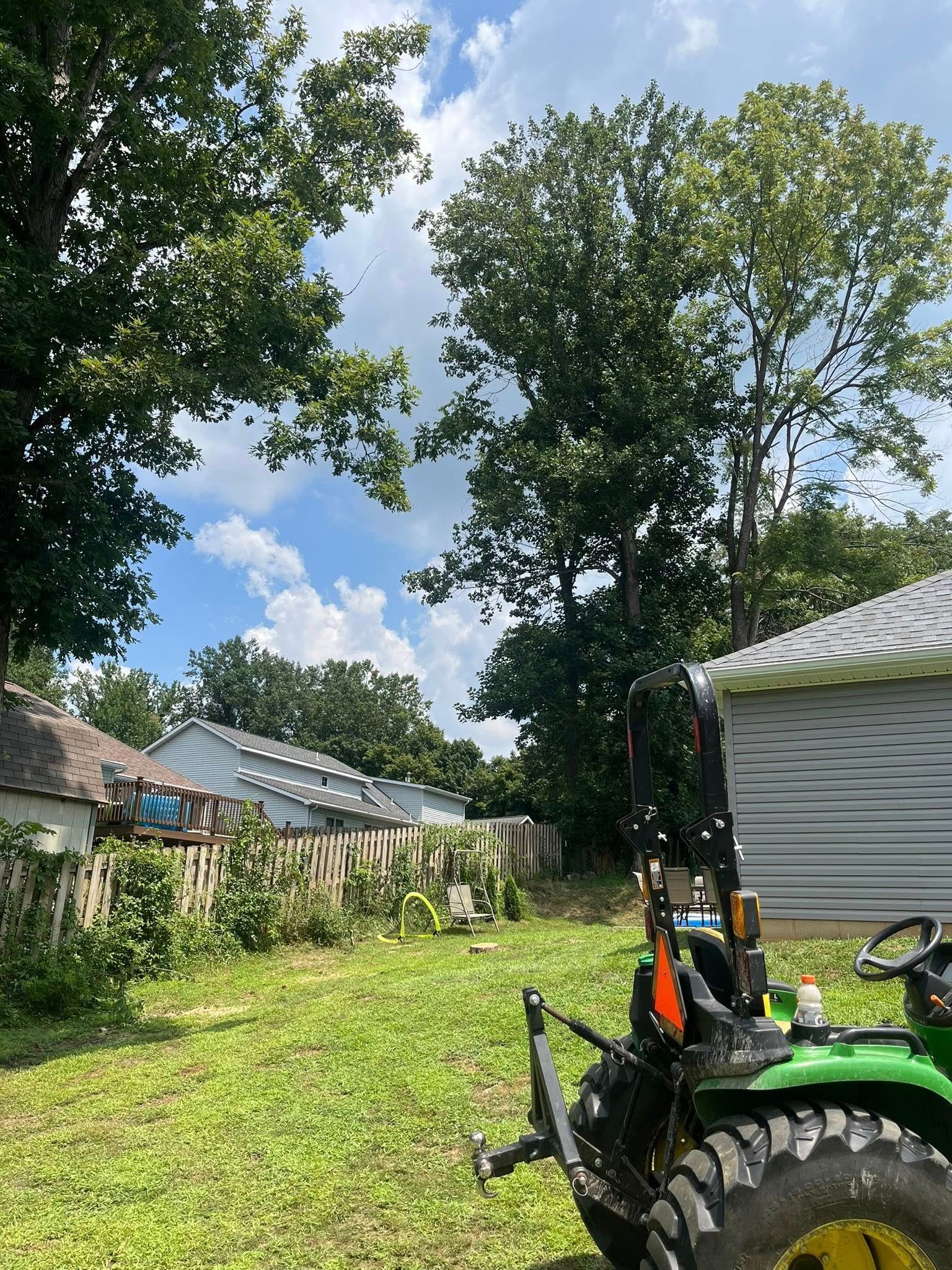 Green tractor on grass, backyard with fence and trees, blue sky.