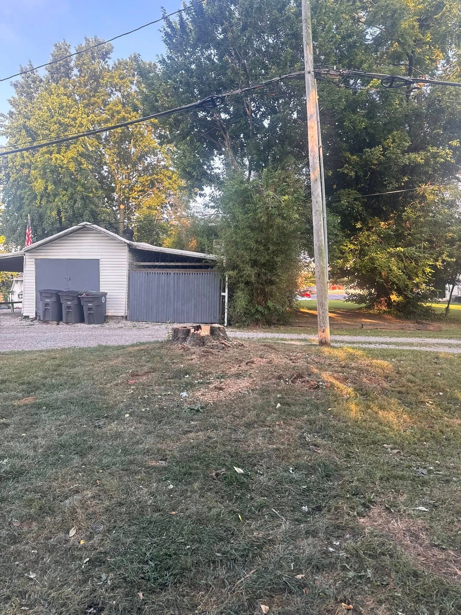 Grassy yard with a shed, a tree stump, and power lines.