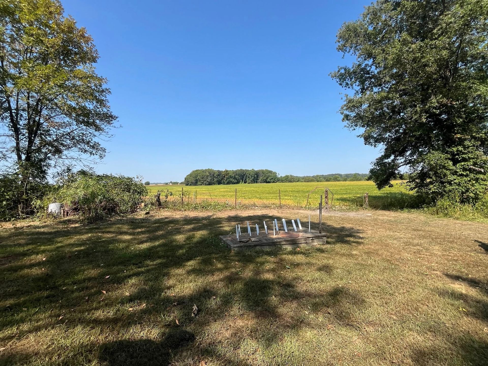 A sunny outdoor scene with a circular fire pit in the foreground and a field of sunflowers in the distance.