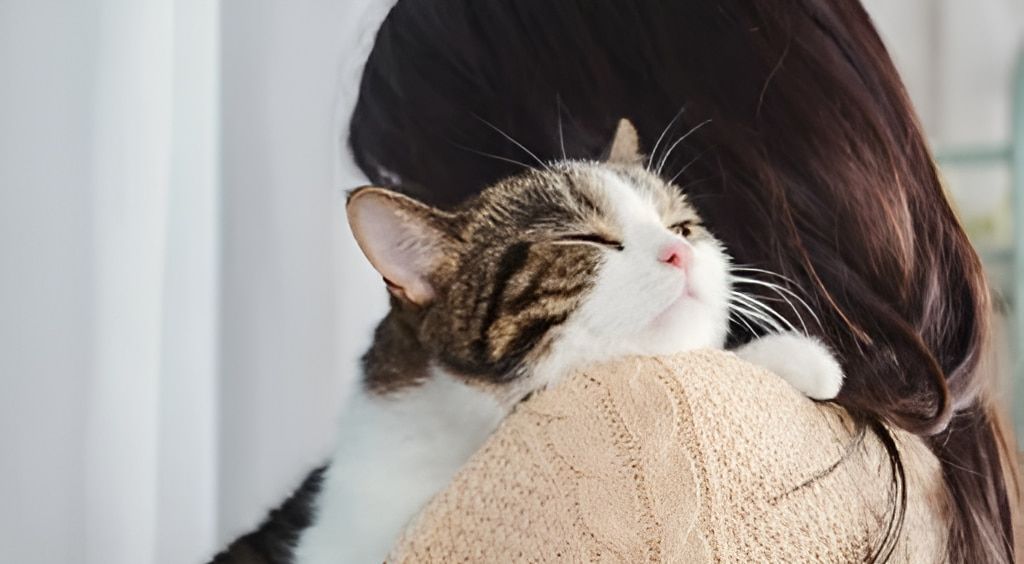 A Woman is Holding a Cat on Her Shoulder — Pets Forever Cremations In North Lakes, QLD