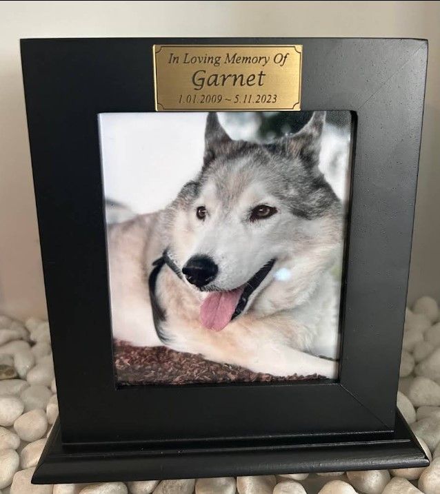 A Picture Frame With a Picture of a Husky Dog in It — Pets Forever Cremations In North Lakes, QLD