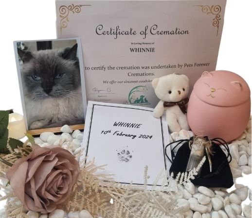 A Certificate of Cremation Sits on a Pile of Rocks — Pets Forever Cremations In North Lakes, QLD