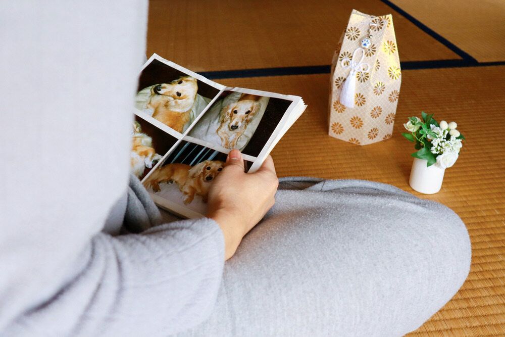 A Person is Sitting on the Floor Looking at a Photo Album of a Dog — Pets Forever Cremations In North Lakes, QLD