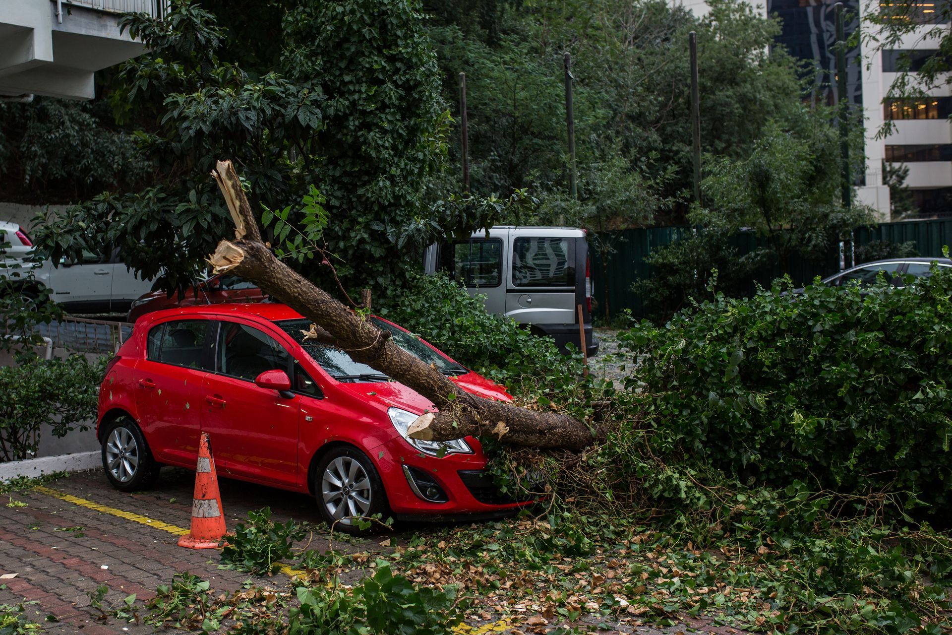 Fallen tree branch crushing a red car on a city street after a storm
