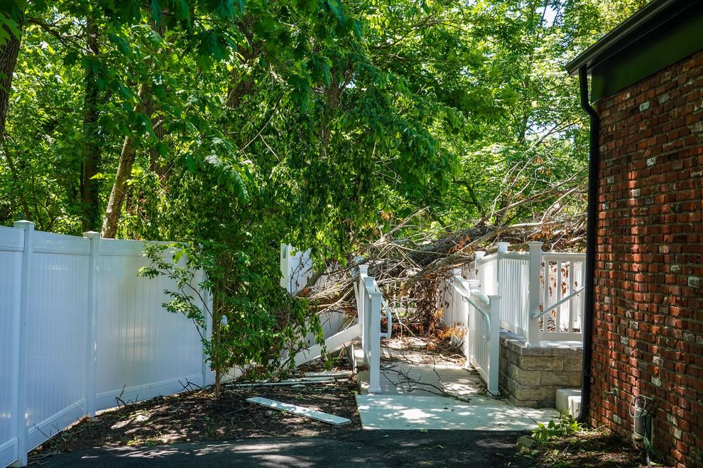 Shaded backyard path beside white fence and brick house, with a large leafy tree overhead