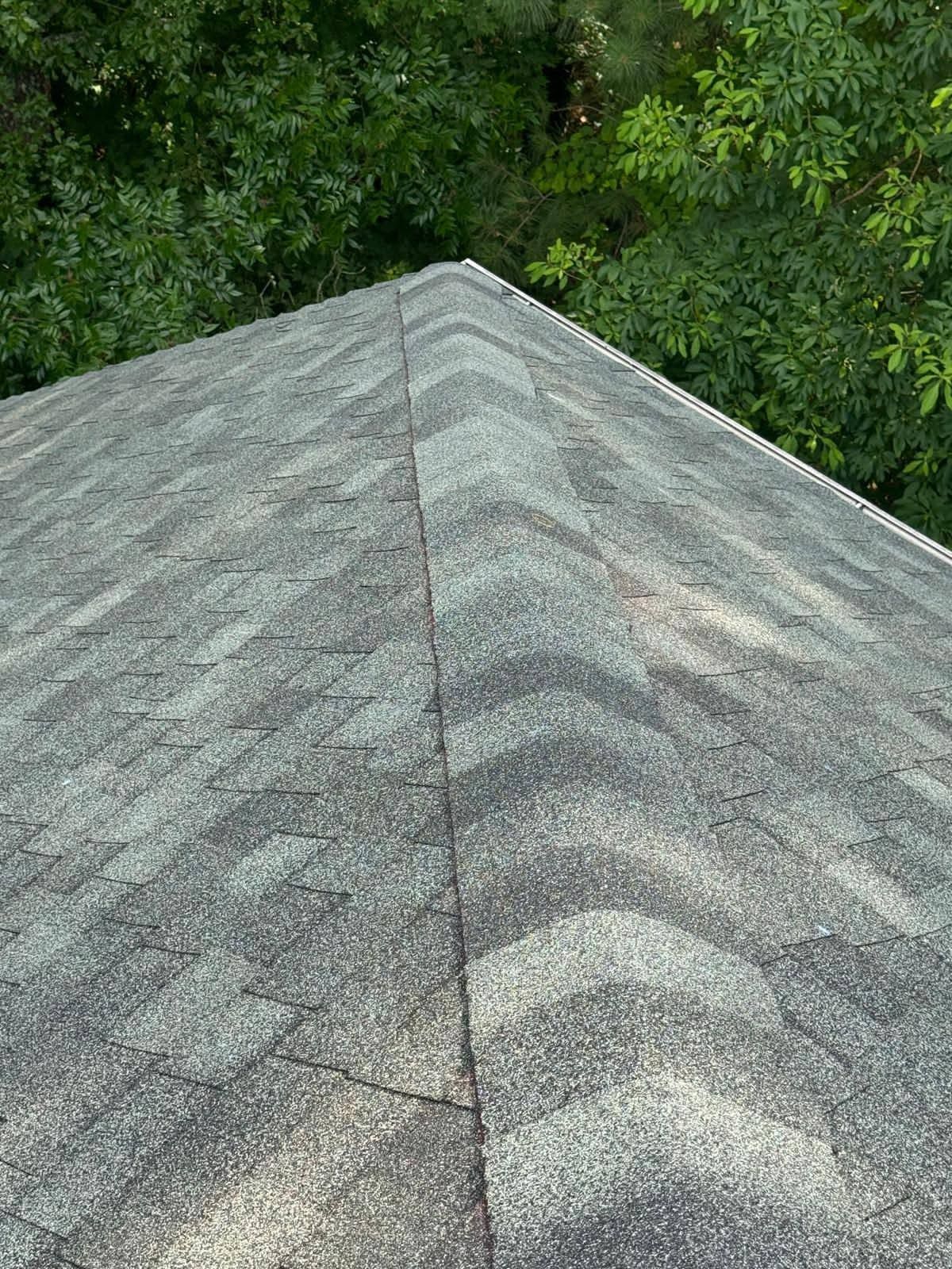 Gray shingled roof ridge against green trees