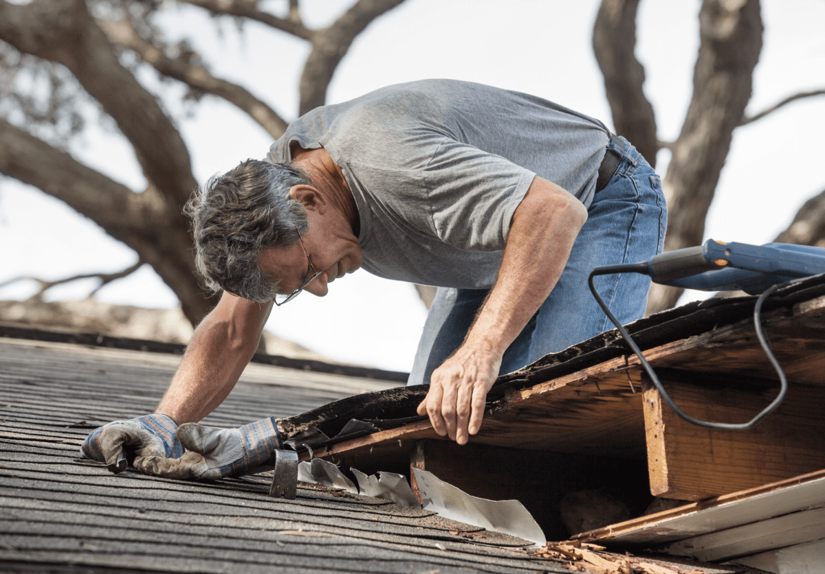 Storm Repair
