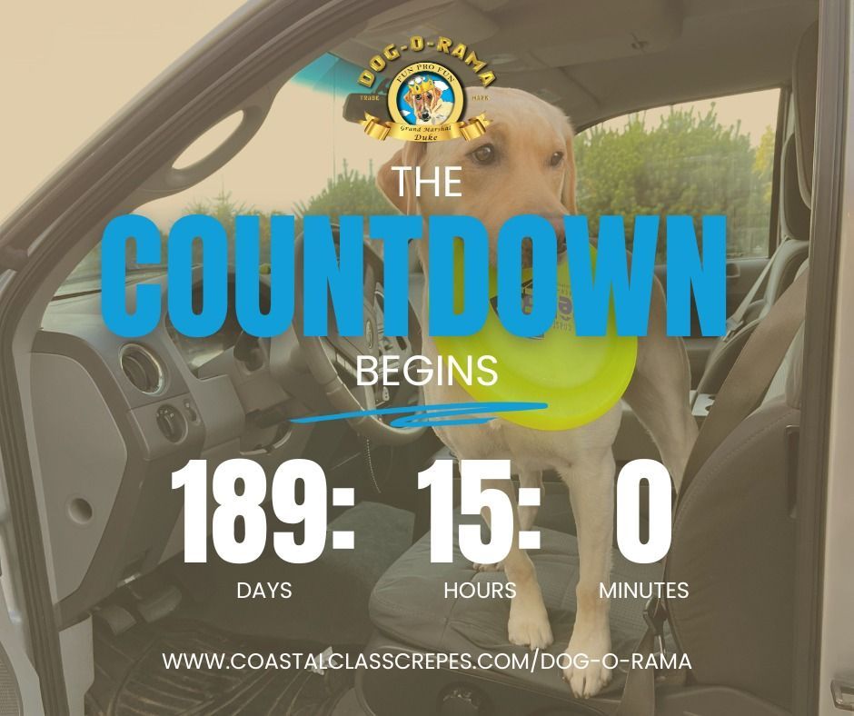Dog in a car with “The Countdown Begins” text and a days-hours-minutes countdown overlay.