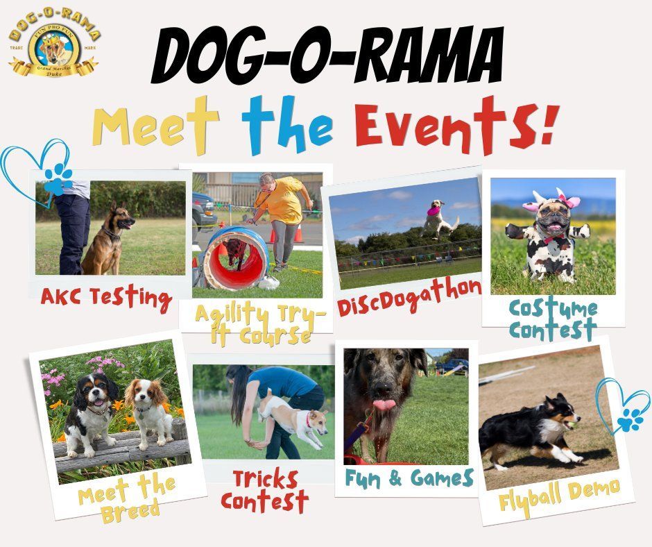 Dog-o-rama event flyer with dog activities, contests, and photos of pets on a white background