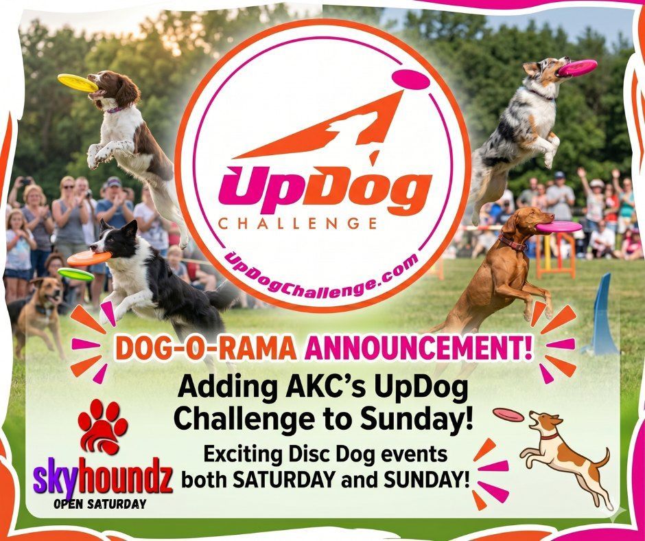 UpDog Challenge dog-throwing event announcement with three dogs catching pink frisbees and skyhoundz logo