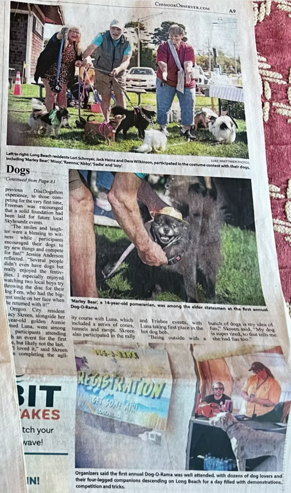 Article from the Chinook Observer with photos of people and dogs in an outdoor setting, plus smaller article images below.