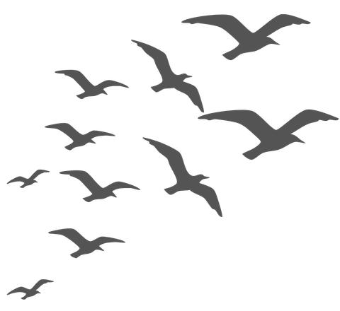 Silhouettes of birds flying in a white sky
