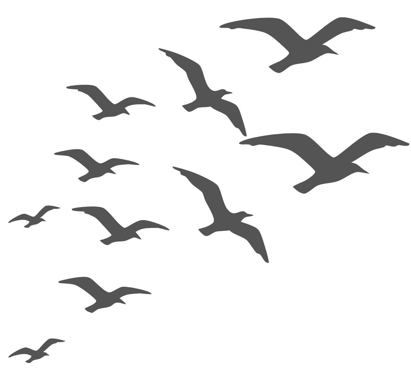 Silhouettes of flying birds against a white sky