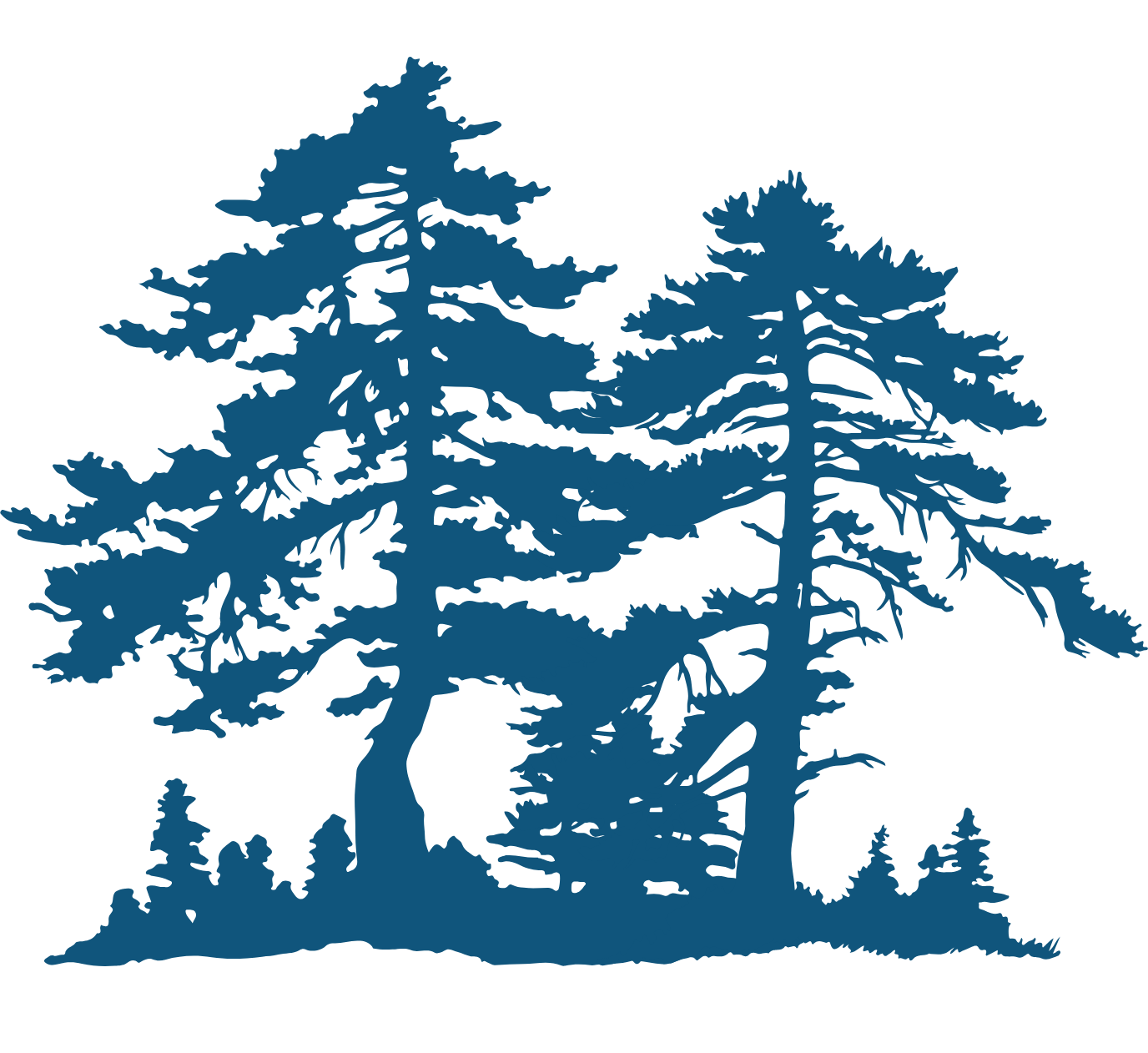 Blue silhouette of two pine trees and smaller trees on a white background