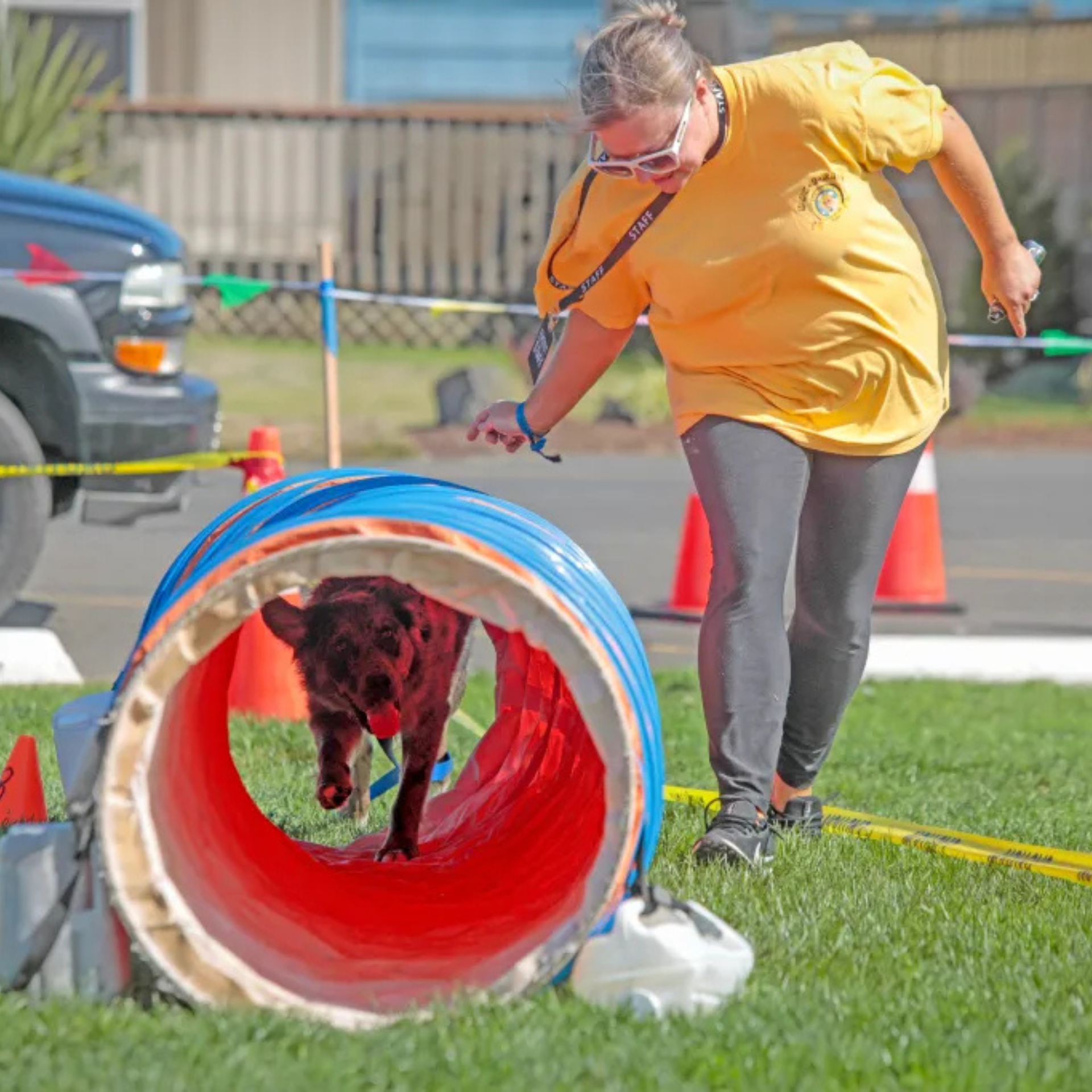 Woman guiding a dog through a red agility tunnel on a grassy course outdoors.
