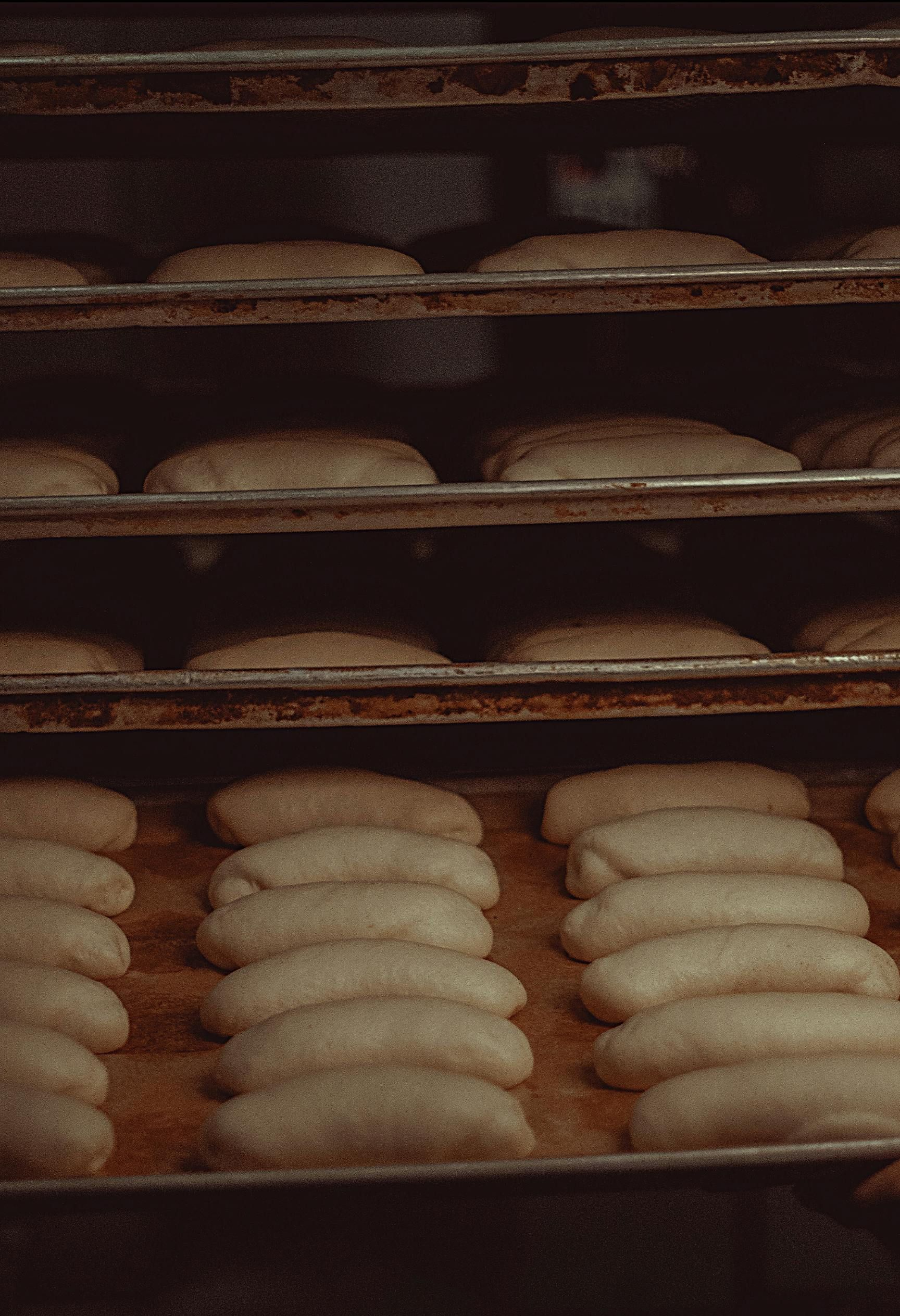 Baking racks with rows of golden-brown loaves of bread in an industrial bakery.