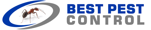 Best Pest Control
