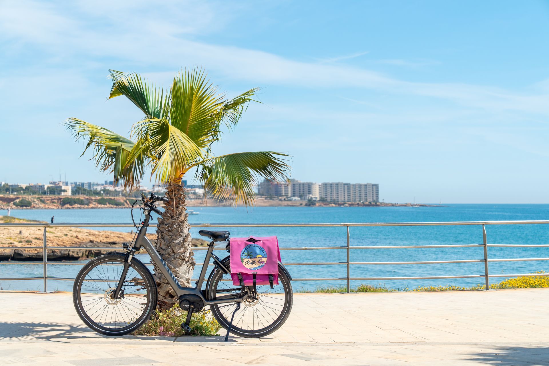 Zwarte elektrische stadsfiets met lage instap op een witte achtergrond