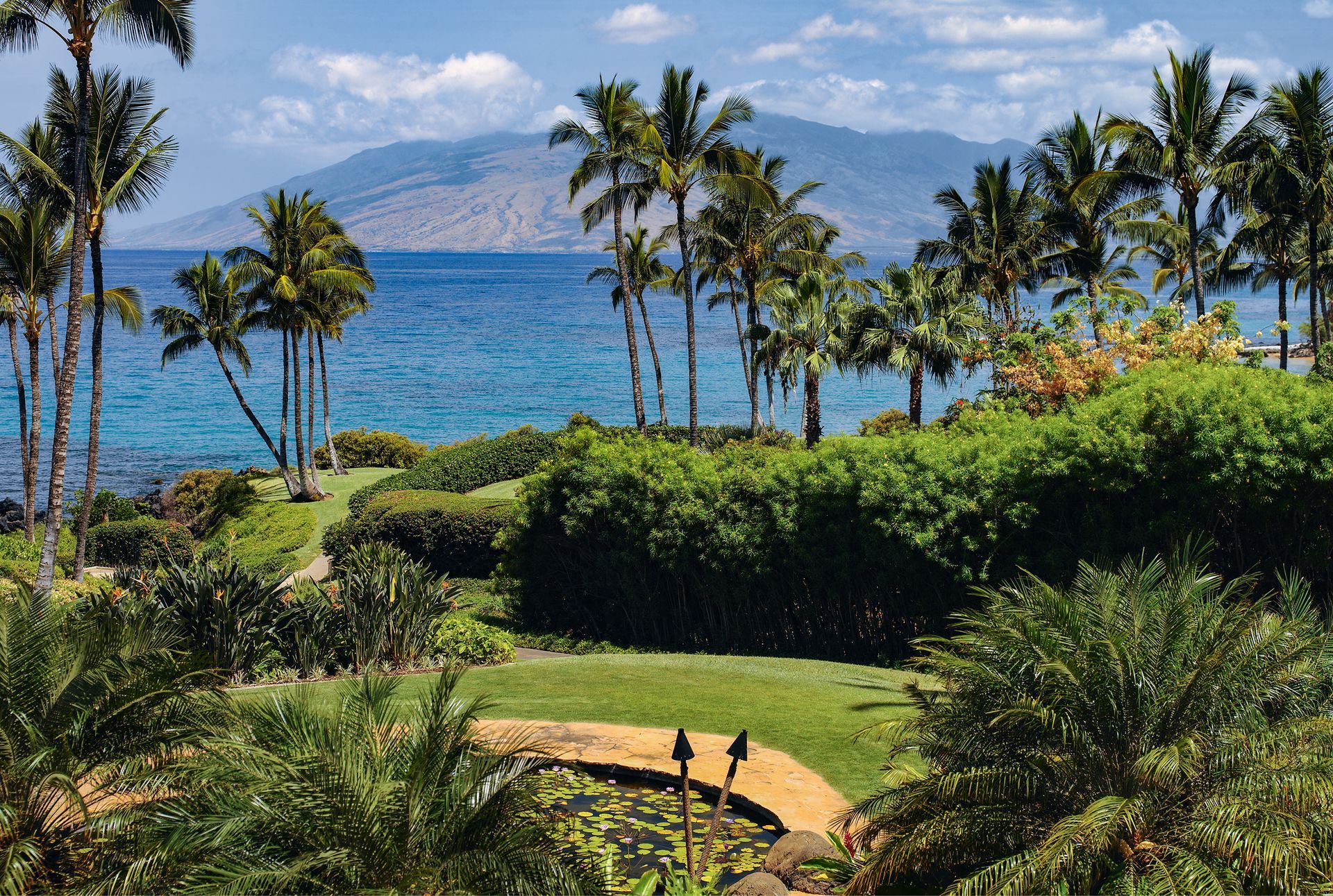 Tropical beach resort with palm trees, blue ocean, mountains, and a green lawn under a sunny sky