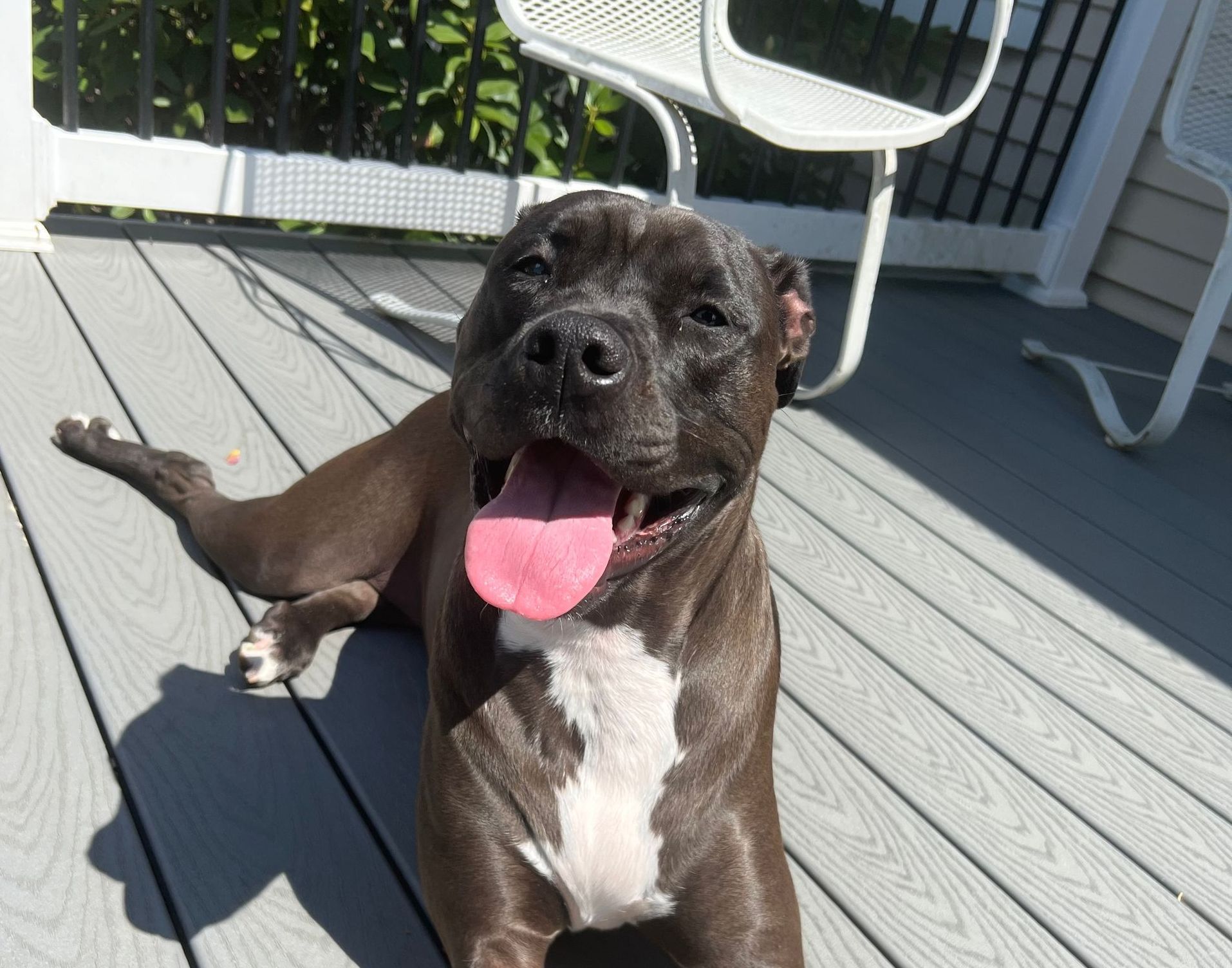 About Supporting Rescues