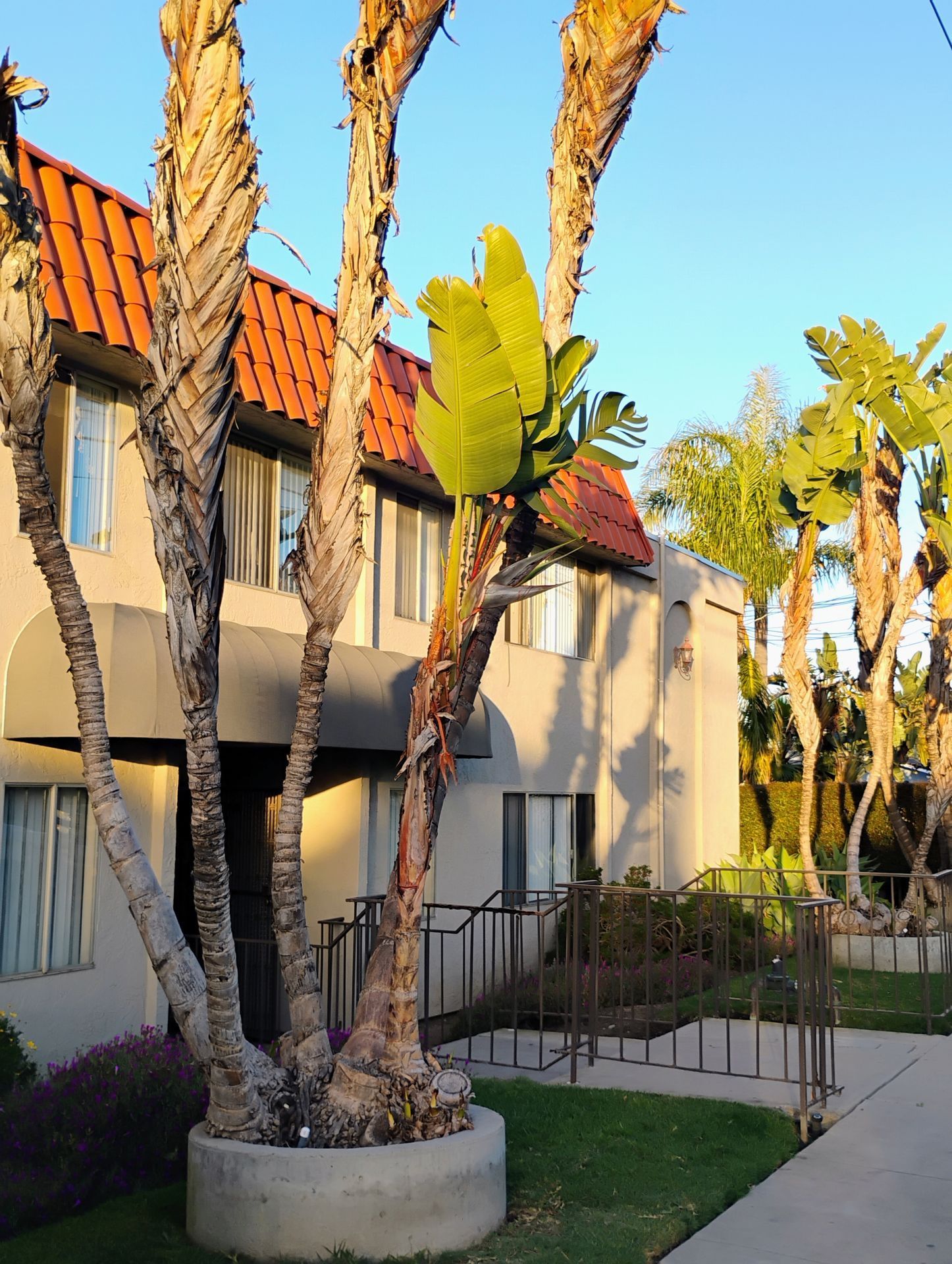 Iris Exterior Photo