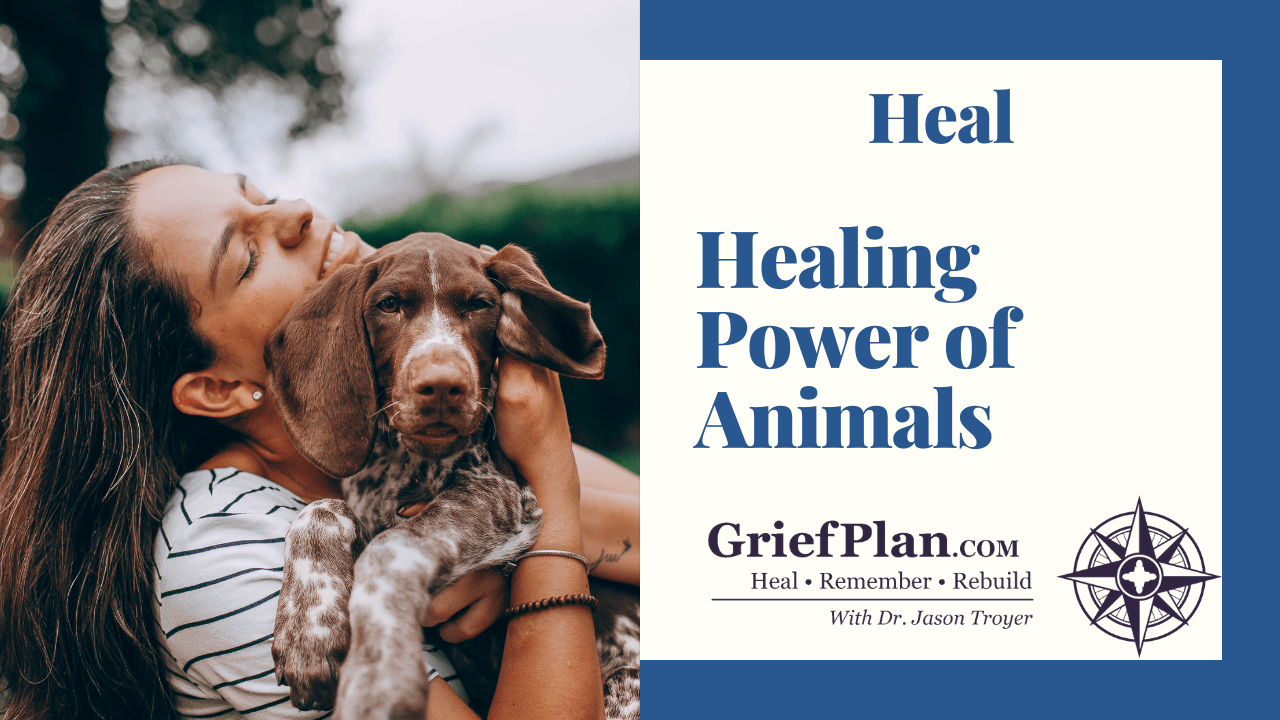 Healing Power of Animals