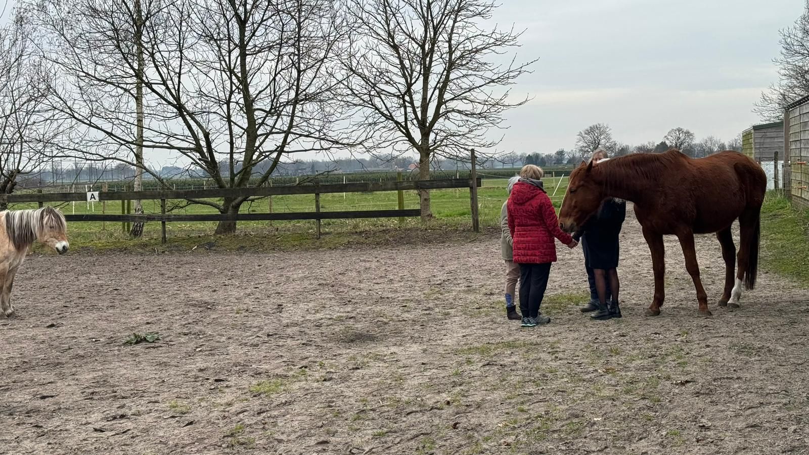 Twee mensen houden de teugels van een paard vast in een modderig veld met een ezel en een houten hek. Bewolkte lucht.