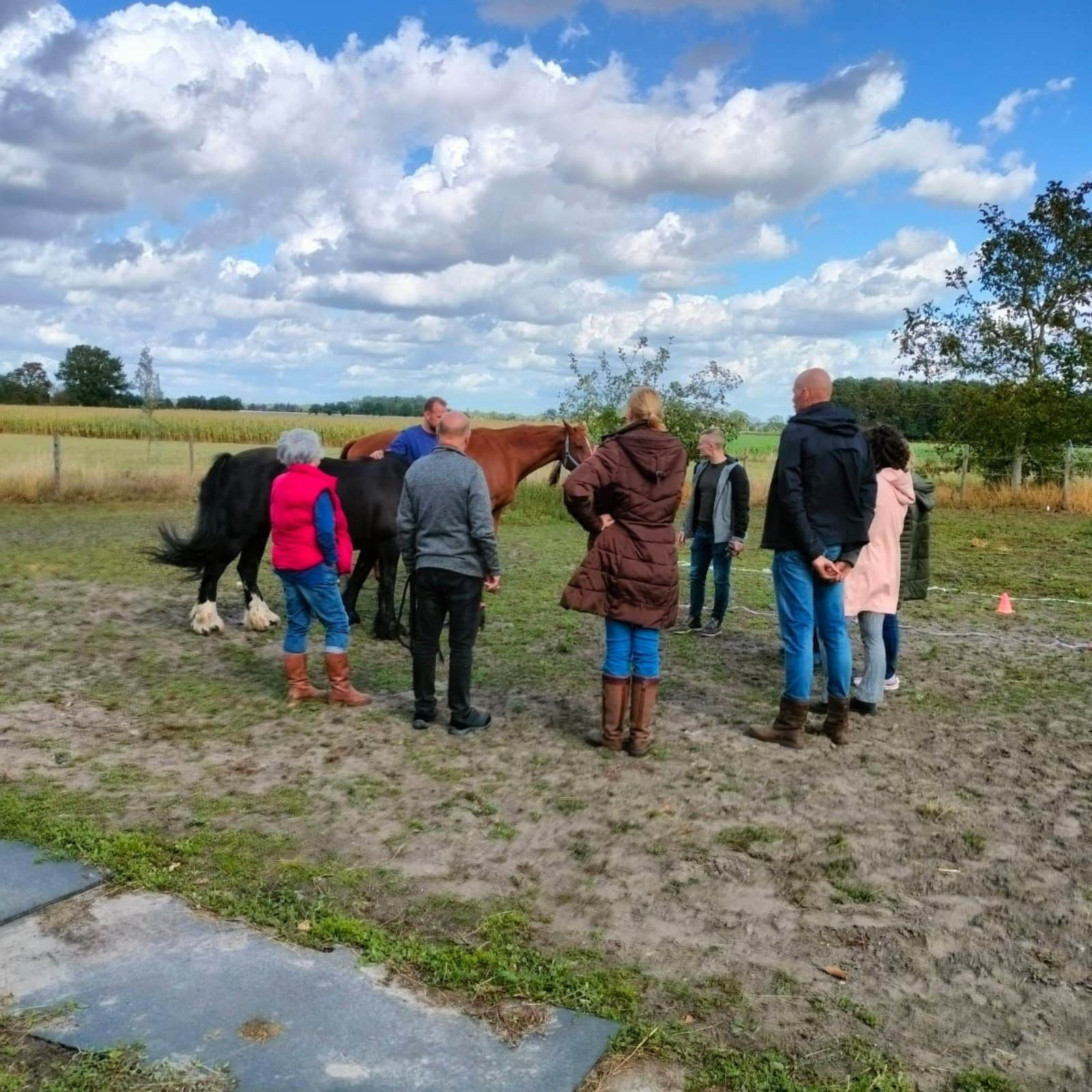 Een vrouw in een donkerblauwe blouse en jeans glimlacht, leunend tegen een vensterbank met planten en een raam op de achtergrond.