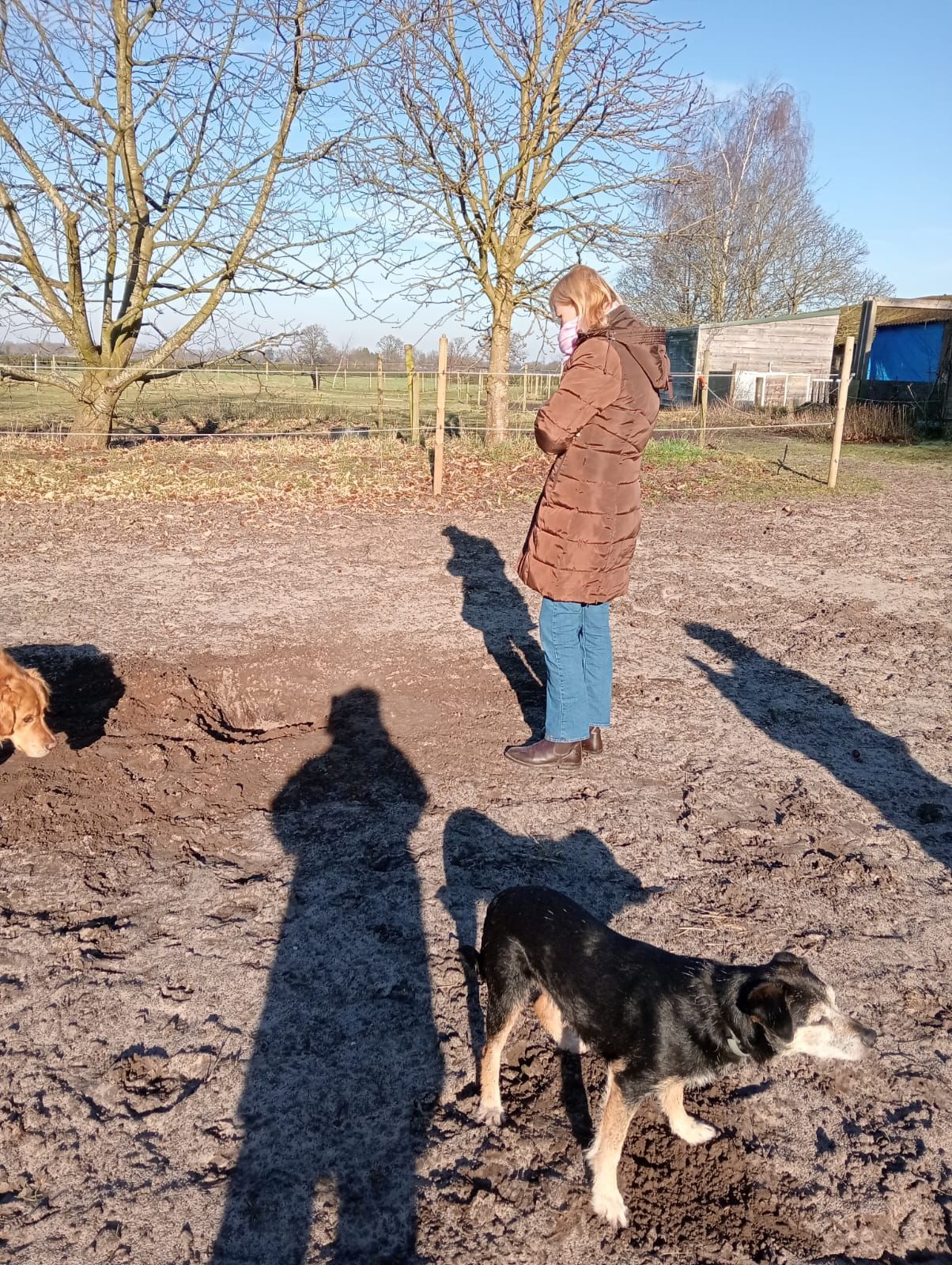 Persoon in bruine jas en blauwe spijkerbroek staat in de tuin met een hond; de zon werpt lange schaduwen.