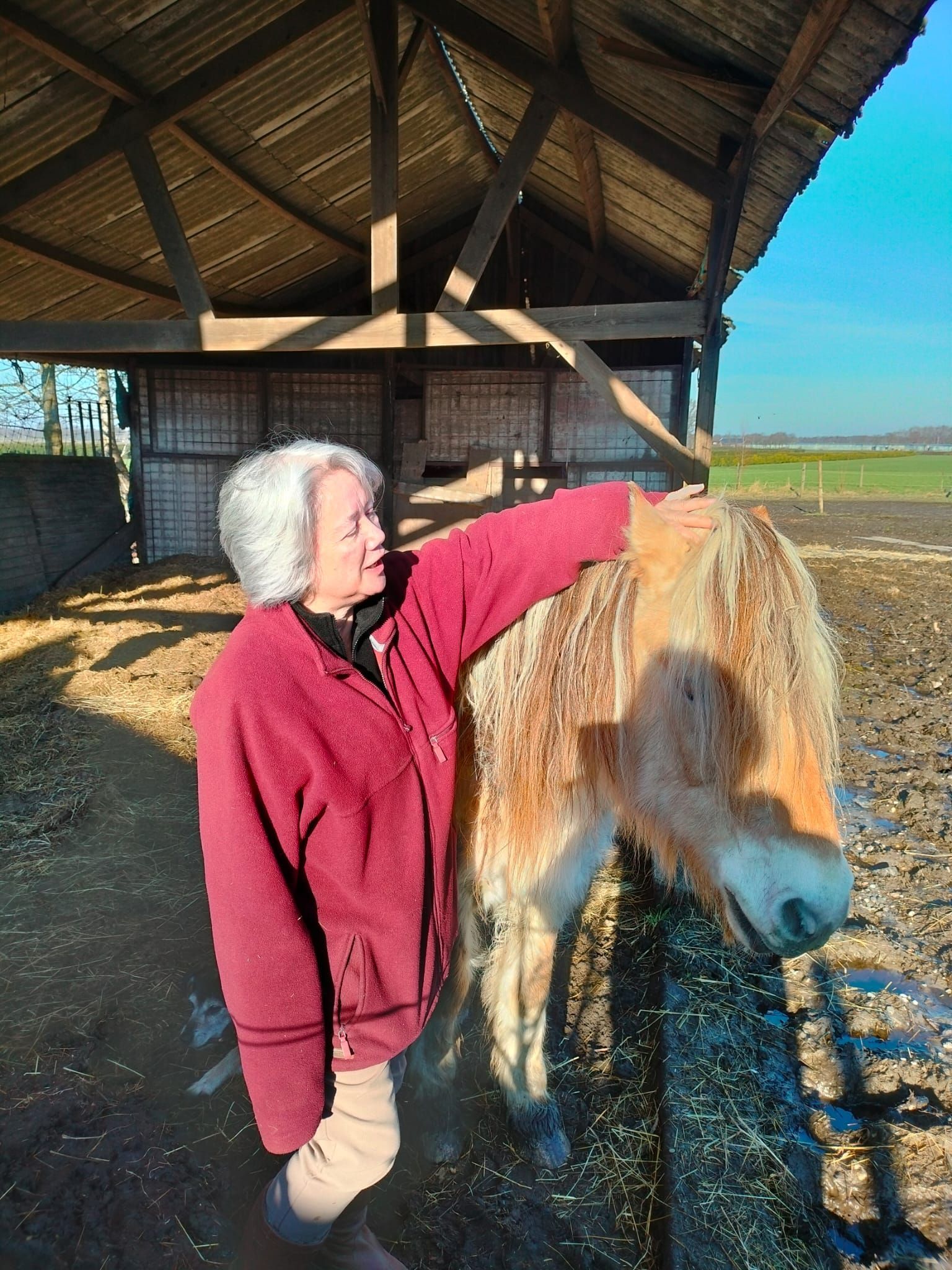 Vrouw in rode jas aait een klein paard onder een houten constructie; buitenomgeving.