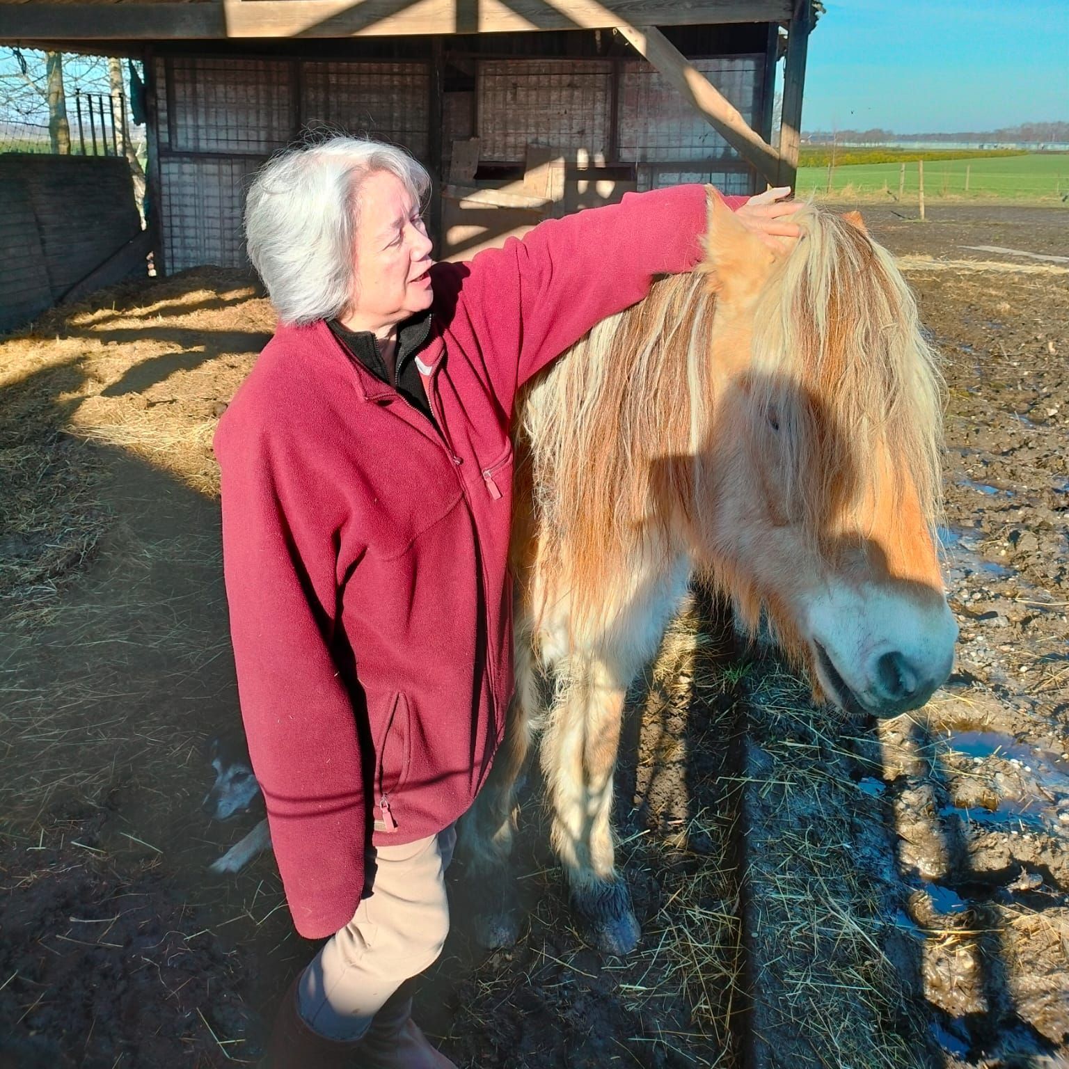 Vrouw in rood aait een lichtbruine pony op een boerderij met een schuur en een heldere hemel.
