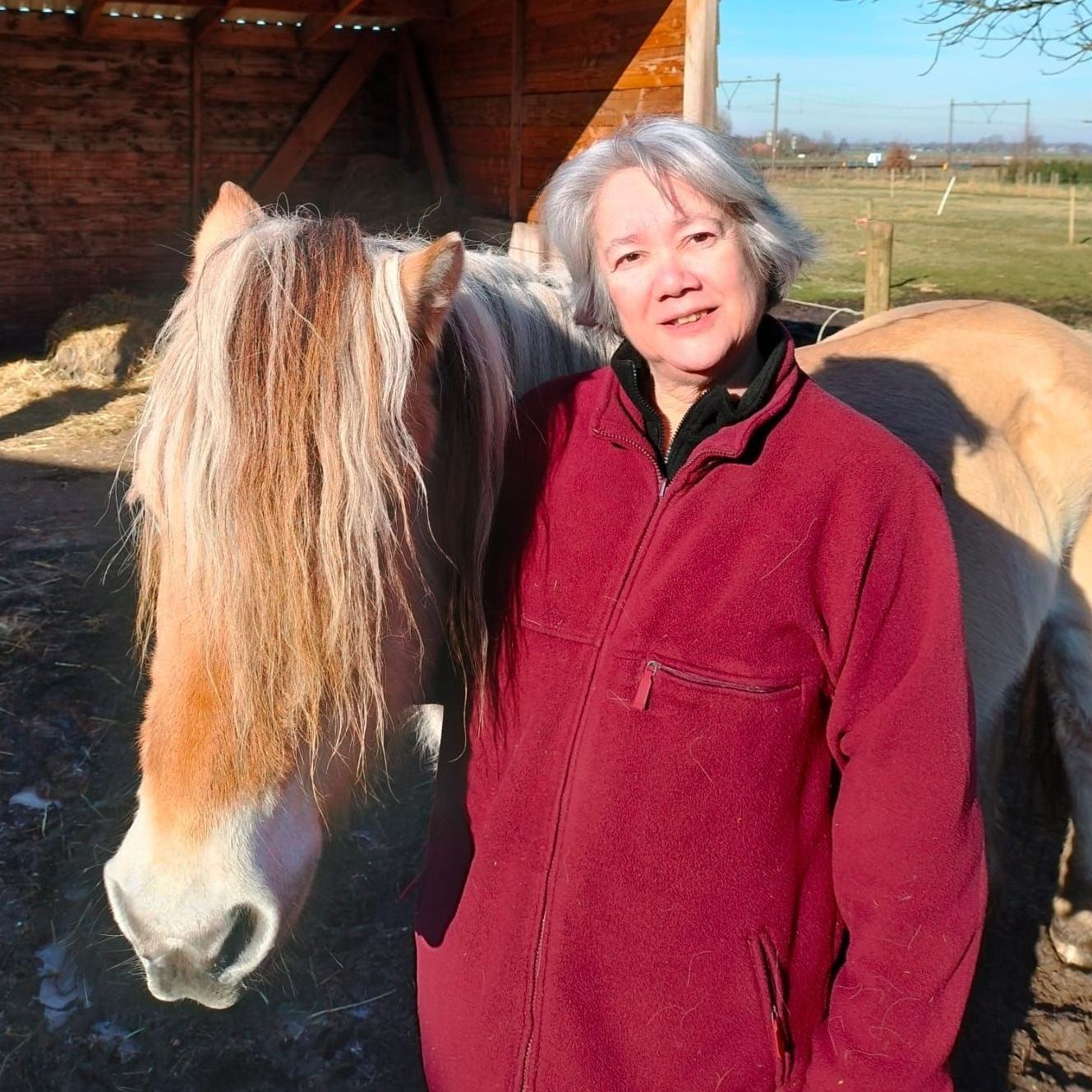 Een vrouw in een rode jas staat naast een paard met een lange, lichte manen voor een schuur.