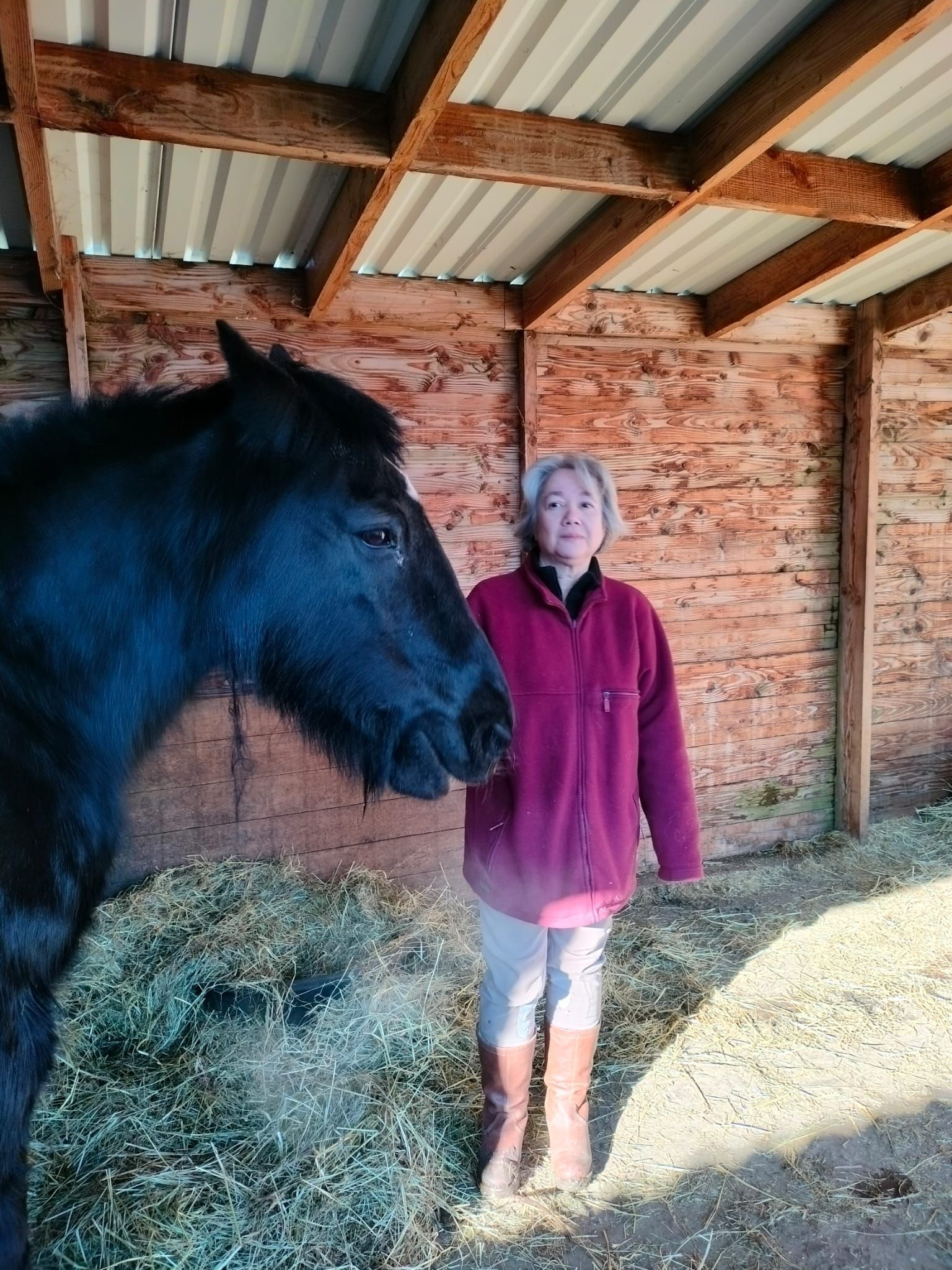 Vrouw in bordeauxrode fleece naast een zwart paard in een schuur met hooi.