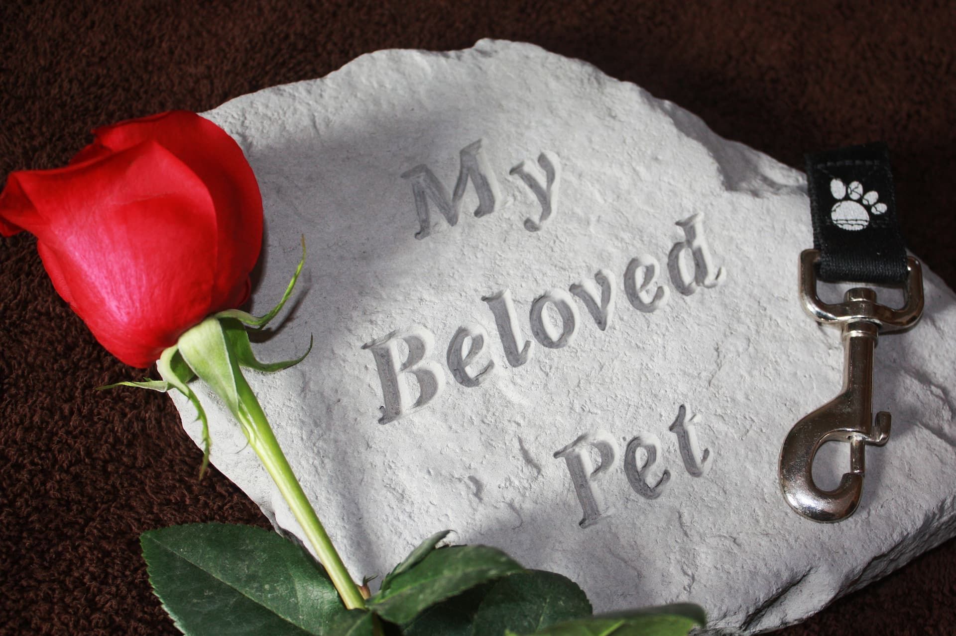 Obits Funeral Home And Cremations Providence UT