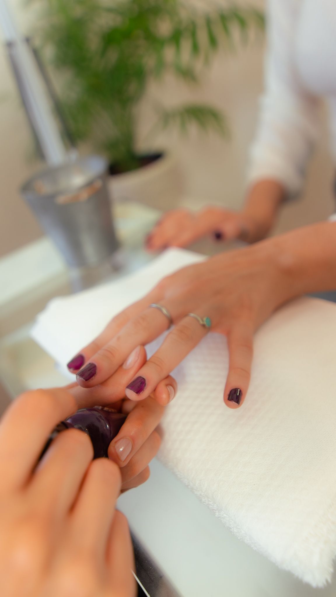 Mano con uñas y anillos rojos sosteniendo flores rosas sobre un fondo blanco.