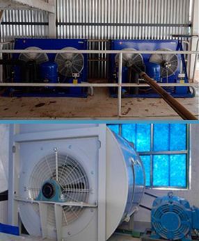 NB Refrigeración