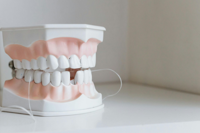 Dental model with white teeth and pink gums on a white surface, floss looped between the teeth