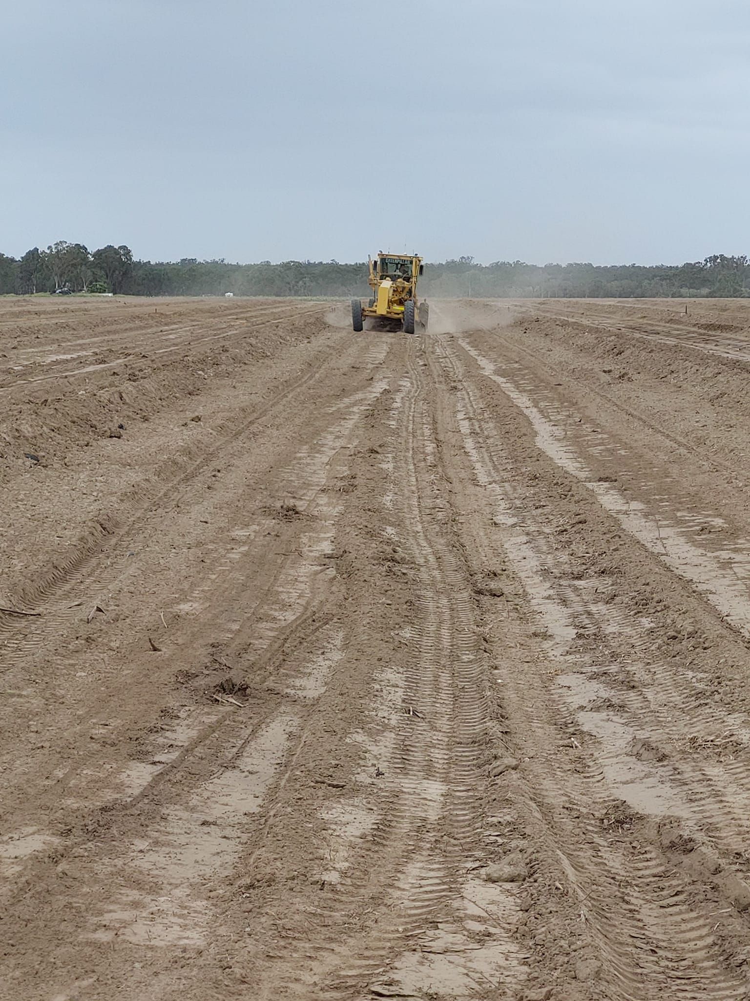 A yellow tractor is plowing a muddy field. — B E Laser Levelling QLD in Bucca, QLD