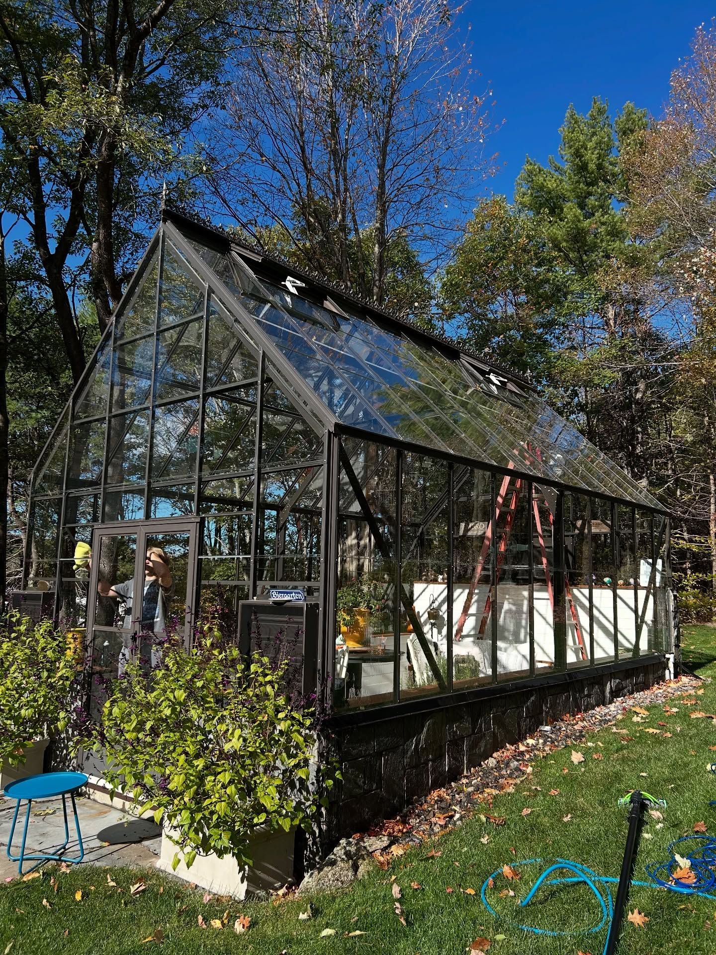 Glass greenhouse with a peaked roof in a leafy garden on a sunny day