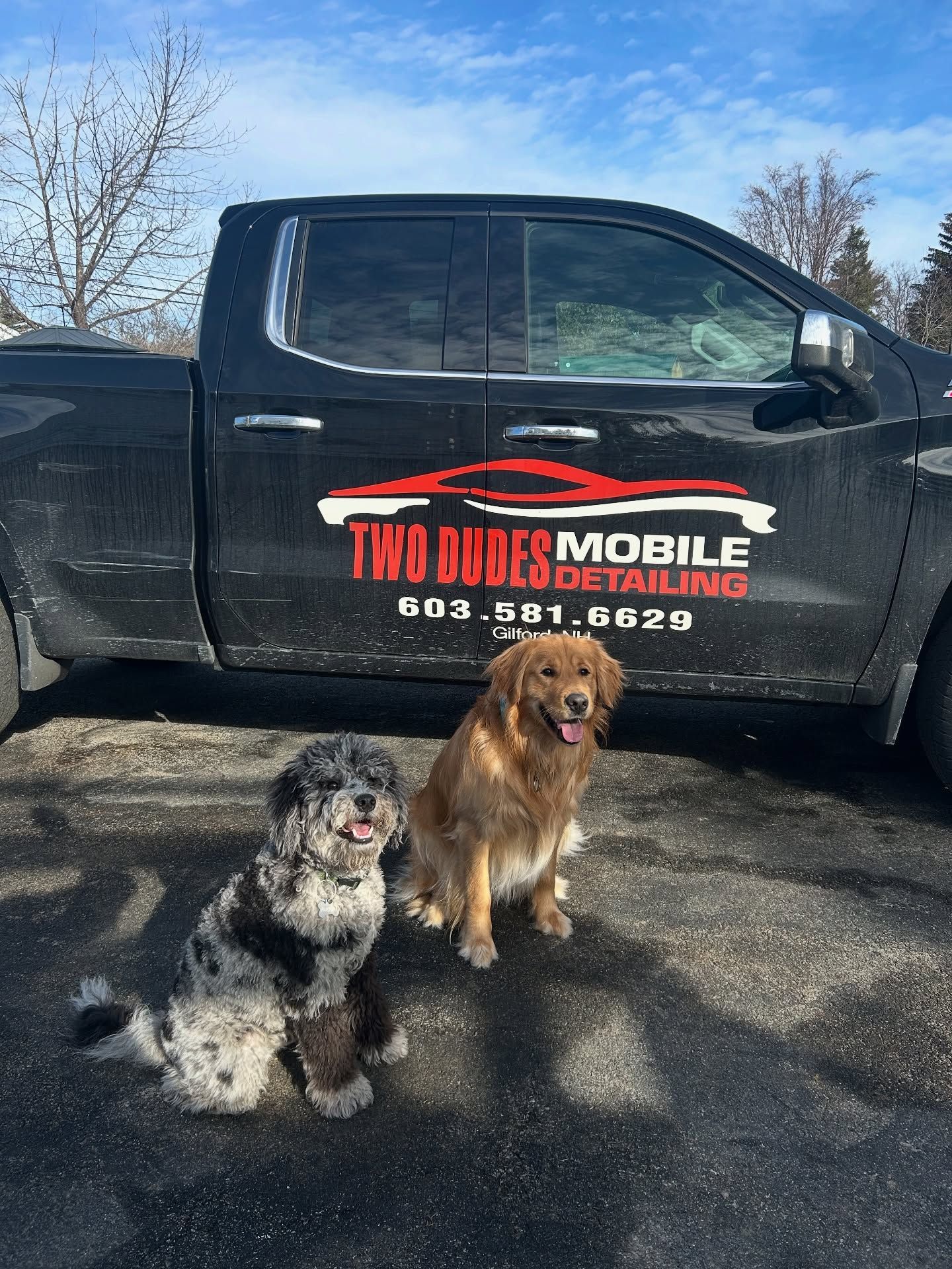 Black pickup truck with “Two Dogs Mobile Grooming” logo, parked outdoors with two dogs in front.