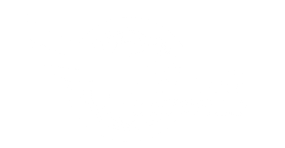 Imagen mayormente blanca, con una fina línea horizontal gris cerca de la parte inferior.