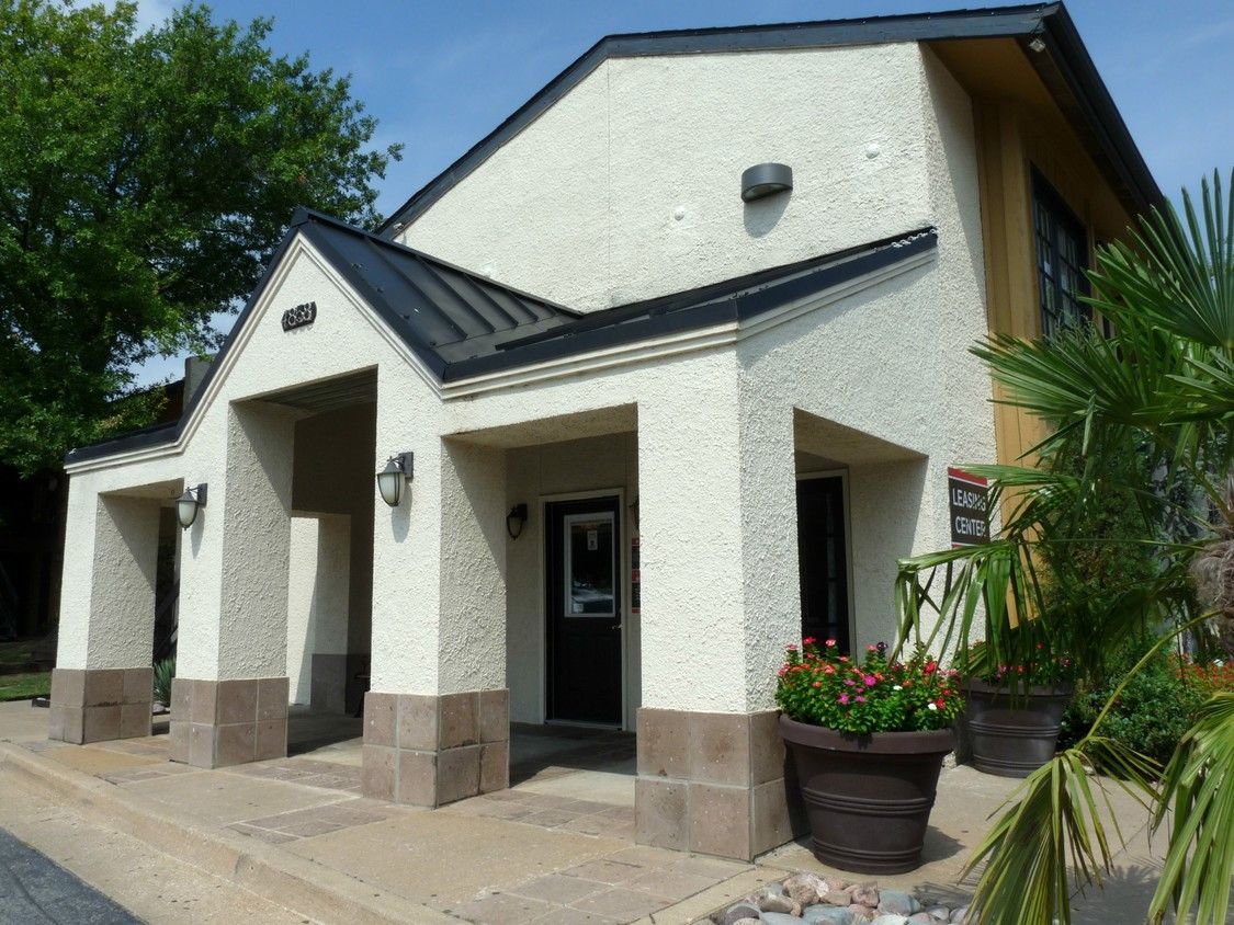 A white building with a black door and a palm tree in front of it