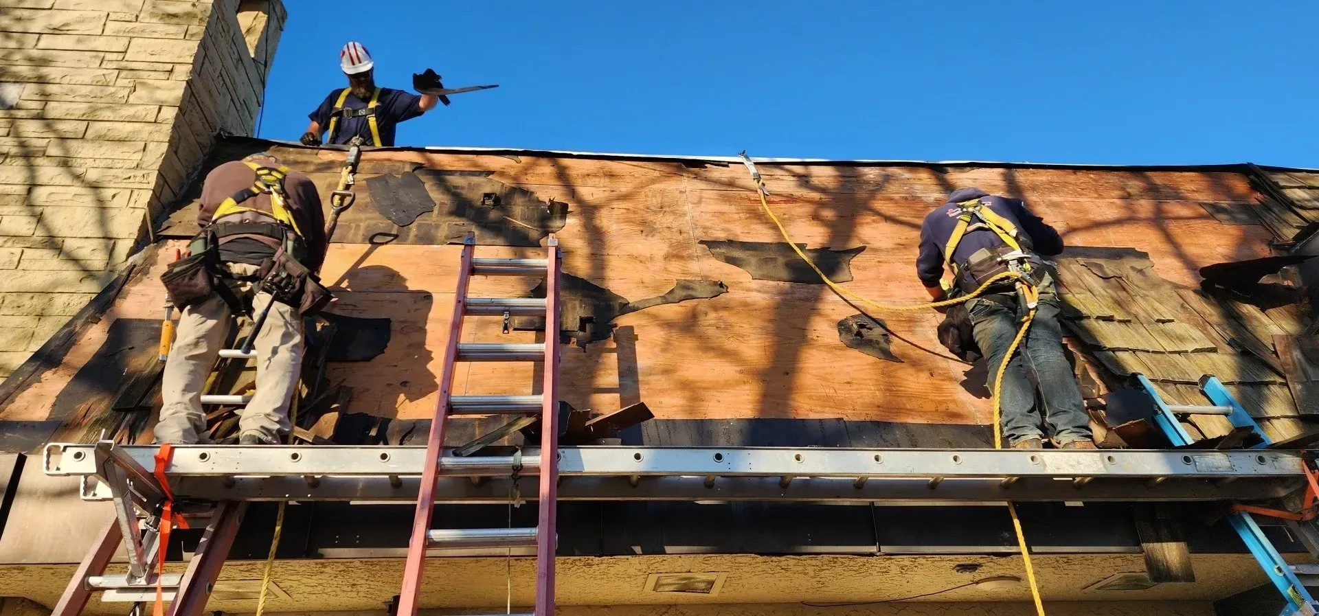 Three workers on a roof, securing ropes, two on scaffolding, one near a chimney. Clear blue sky. Workers securing a roof, with a ladder and safety harnesses visible.