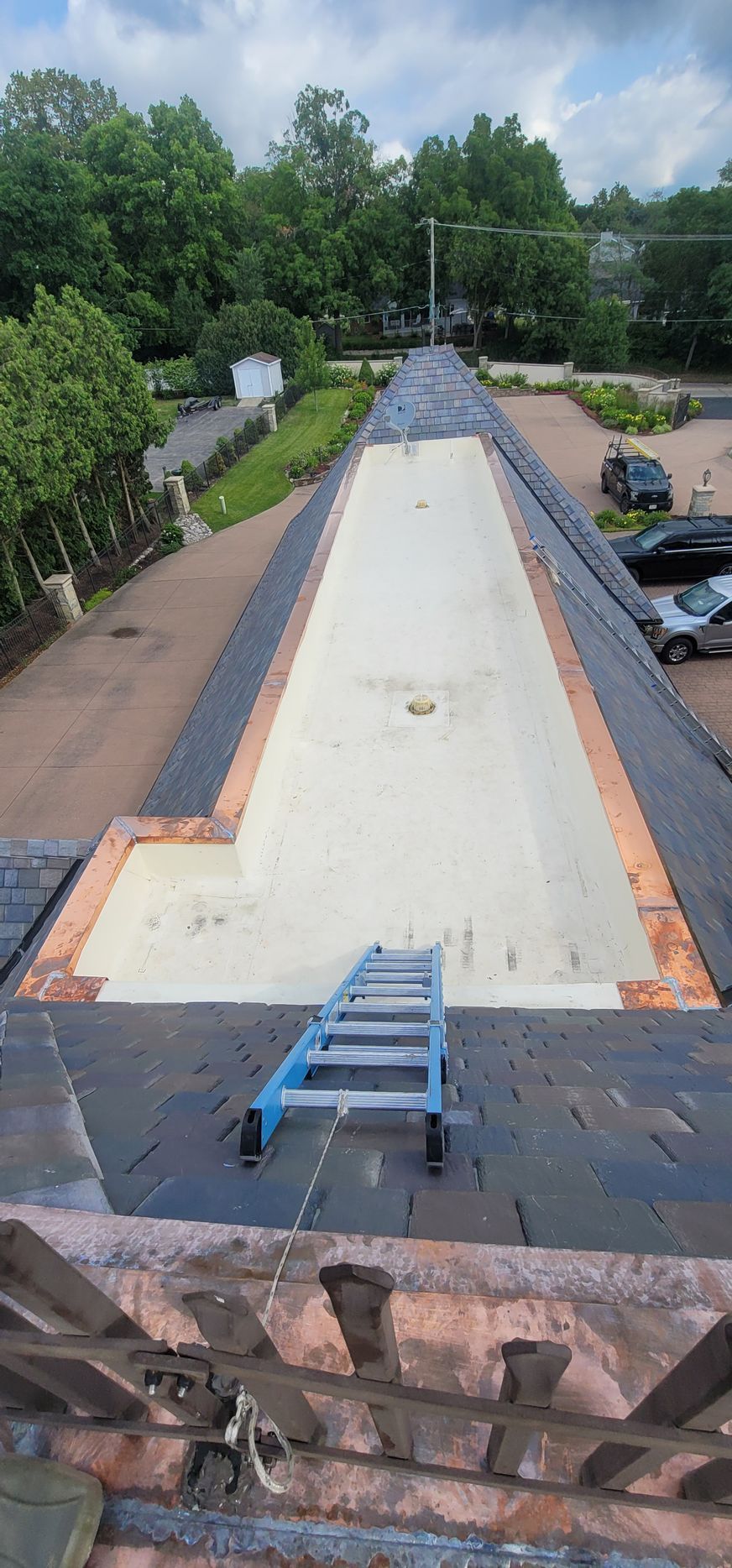 Rooftop with a long white flat roof, blue ladder at the edge, and trees and cars in the background